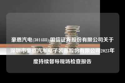豪恩汽电(301488):国信证券股份有限公司关于深圳市豪恩汽车电子装备股份有限公司2023年度持续督导现场检查报告